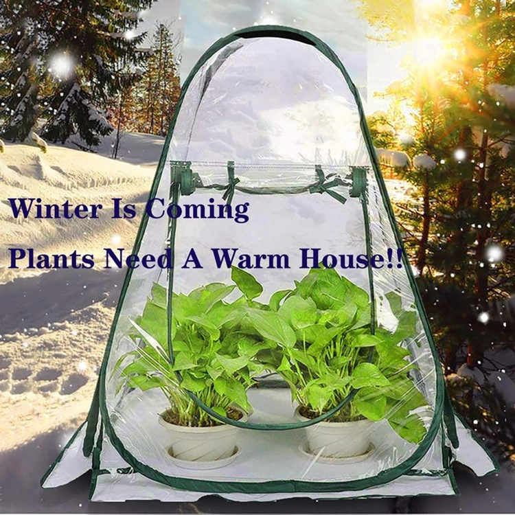 Supply Amazon Mini Small Greenhouse with Clear Plastic Cover Flower House, Portable Pop up Plant Grow Tent Shelter for Outdoor Garden Backyard