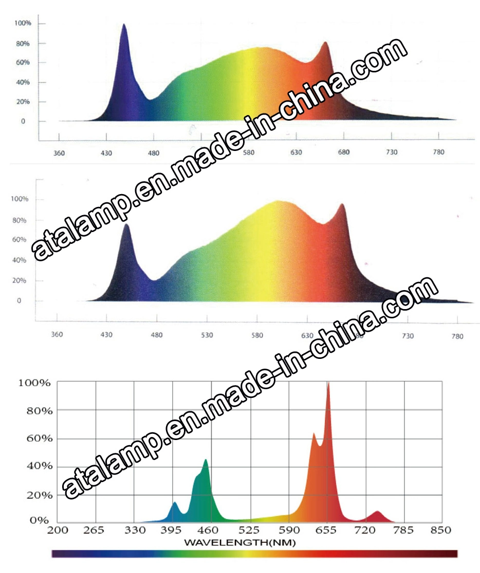 Hydroponic Full Spectrum Quantum Board 600W/800W/1000W LED Grow Light