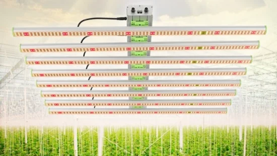 Светодиодные лампы для выращивания растений полного спектра 4*4 FT для использования в помещении с большой занимаемой площадью CE RoHS FCC